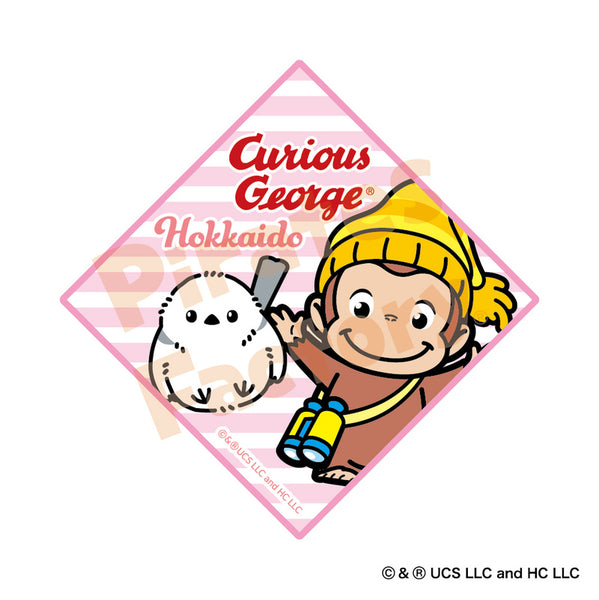 CGG243439L_grande.jpg?v=1780539456