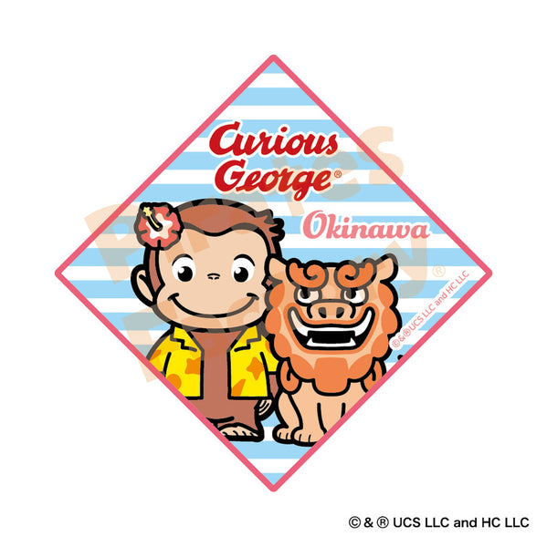 CGG243736L_grande.jpg?v=1761800283