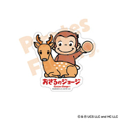 CGG243507L_medium.jpg?v=1761800172